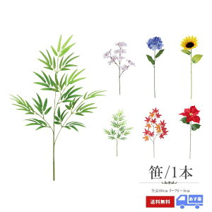 1000~|bL  [ 66cm [  [ Ȃ΂ ǂ ct ۈ牀   fBXvC |  lH vX`bN ̑ yy