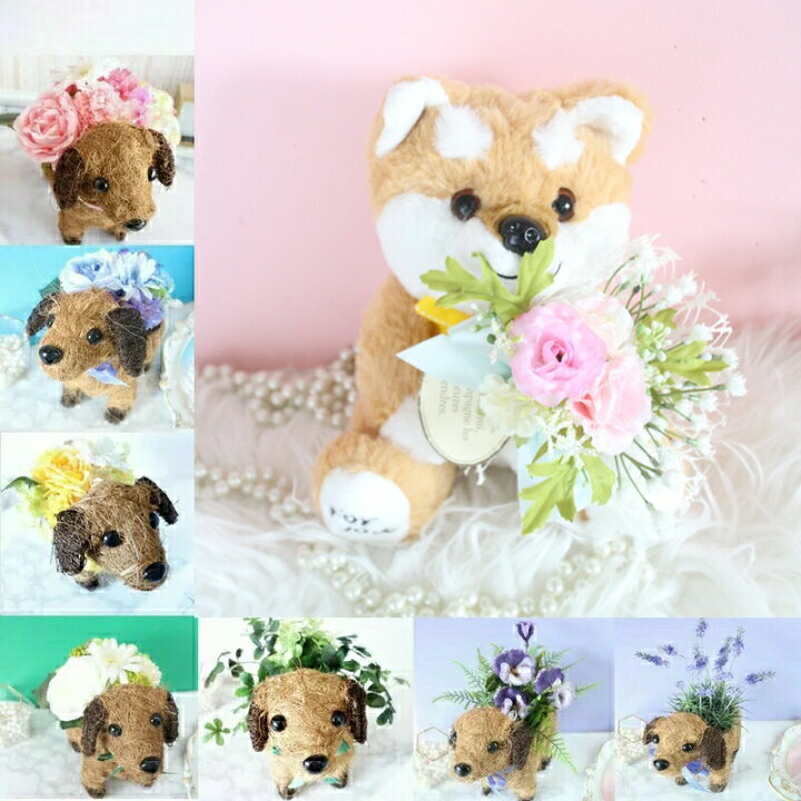 楽天市場 ポイント10倍 敬老の日 ギフト 花 プレゼント 12種から選べる お花 鉢植え 鉢花 花鉢 フラワーギフト 鉢植え 花 犬 送料無料 女性 喜ぶ 花 ヒマワリ ラベンダー ビオラ ローズ カーネーション メッセージカード 選べる 誕生日 お祝い お見舞い W0005 造花の