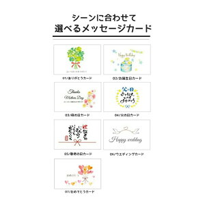|G{bNX \[vt[ Ό    oXObY KN Mtg{bNXt bsO Mtg oXtOX 