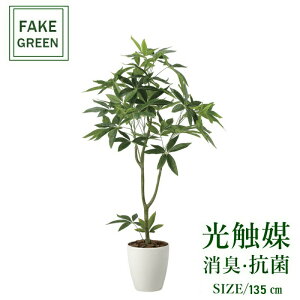 tFCNO[ ϗtA tFCN lHϗtA G}  CeA A  j    lC C  rO ItBX  Vv R L ϗt t