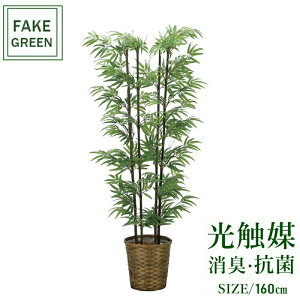 tFCNO[ ϗtA tFCN lHϗtA G}  CeA A  j    lC C  rO ItBX  Vv R L ϗt |1.