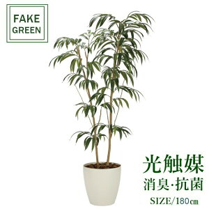 tFCNO[ ϗtA tFCN lHϗtA G}  CeA A  j    lC C  rO ItBX  Vv R L ϗt V