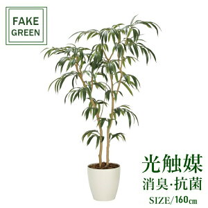 tFCNO[ ϗtA tFCN lHϗtA G}  CeA A  j    lC C  rO ItBX  Vv R L ϗt V