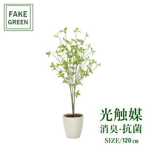 tFCNO[ ϗtA tFCN lHϗtA G}  CeA A  j    lC C  rO ItBX  Vv R L ϗt N