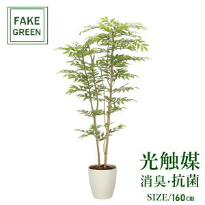 tFCNO[ ϗtA tFCN lHϗtA G}  CeA A  j    lC C  rO ItBX  Vv R L ϗt \