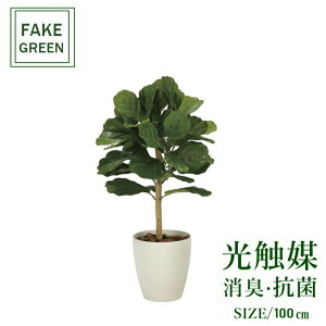 tFCNO[ ϗtA tFCN lHϗtA G}  CeA A  j    lC C  rO ItBX  Vv R L ϗt DXJV