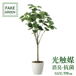 tFCNO[ ϗtA tFCN lHϗtA G}  CeA A  j    lC C  rO ItBX  Vv R L ϗt tB