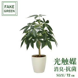 tFCNO[ ϗtA tFCN lHϗtA G}  CeA A  j    lC C  rO ItBX  Vv R L ϗt pL