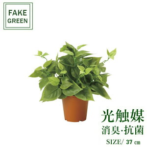 tFCNO[ ϗtA tFCN lHϗtA G}  CeA A  j    lC C  rO ItBX  Vv R L ϗt C