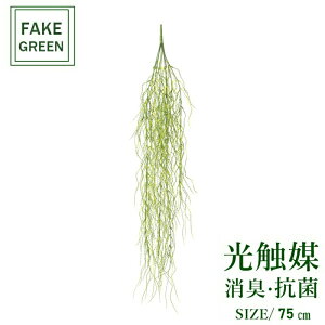 tFCNO[ ϗtA tFCN lHϗtA G}  CeA A  j    lC C  rO ItBX  Vv R L ϗt EI