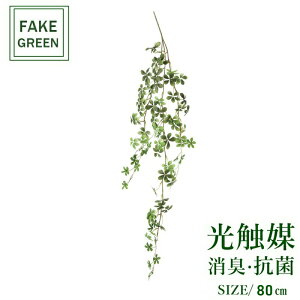 tFCNO[ ϗtA tFCN lHϗtA G}  CeA A  j    lC C  rO ItBX  Vv R L ϗt V