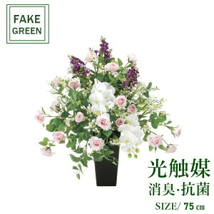 tFCNO[ ϗtA tFCN lHϗtA G}  CeA A  j    lC C  rO ItBX  Vv R L ϗt t@