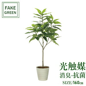 tFCNO[ ϗtA tFCN lHϗtA G}  CeA A  j    lC C  rO ItBX  Vv R L ϗt t