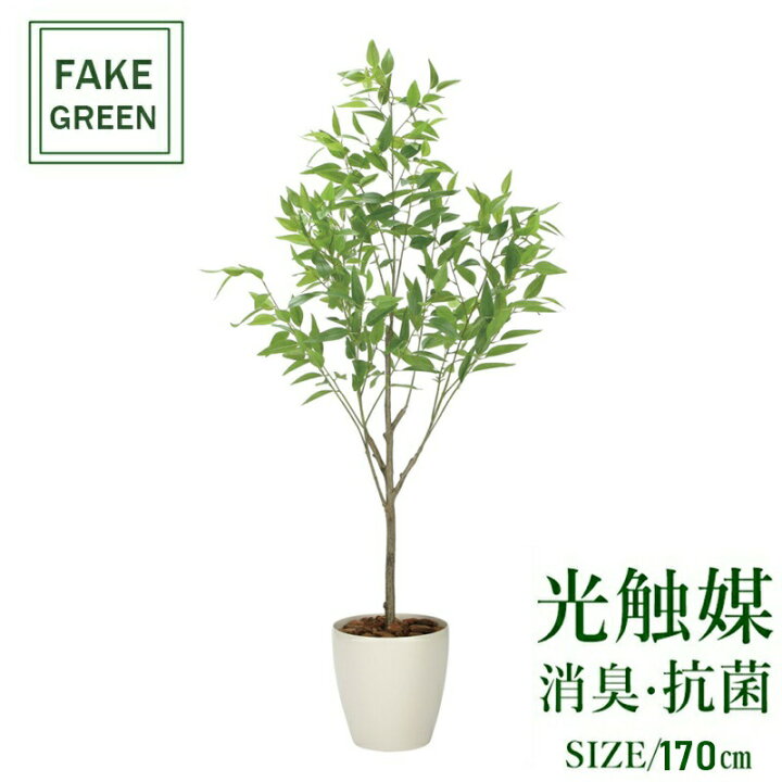 楽天市場】フェイクグリーン 観葉植物 フェイク 人工観葉植物 光触媒 