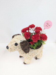 ̓MtgRNV@Aj}V[Y@8肨Iщ@