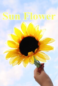 yq}ԁzTt[Ђ܂  ā@fBXvC lC q}   W W  킢 킢 p[eB[  CeAO[ ԑ Ђ܂ Ẳ Xܑ 