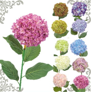  Xv[ Pi ~J  fBXvC ~J Xܑ S80cm z  ʒt ̎s  {ݑ ǎ nChWA { sv 