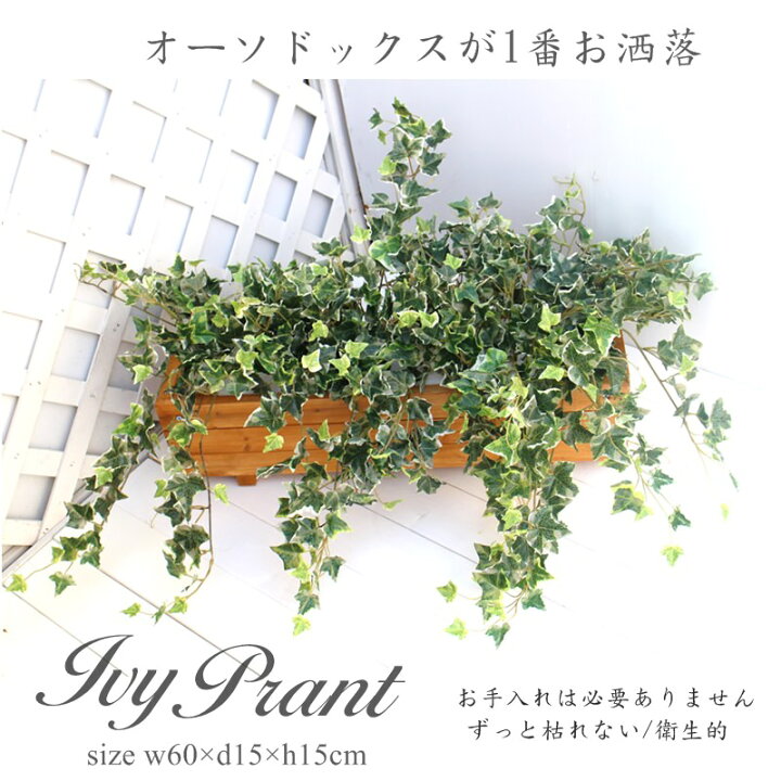 楽天市場 期間限定ポイント5倍 アイビープランター 造花 ツタ アイビー ウッドプランター ディスプレイ 空間演出 インテリアグリーン 人工観葉植物 お洒落 ツタ 葉っぱ 14 980円 60ｃｍ 大量注文可能 装飾 室内 屋外 施設 お店 展示場 きつつき 造花の専門店 きつつき