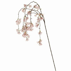     g s@fCXvC@Xܑ@JXԁ@X^h@@X܃fBXvC@JtF@W@Ǝ{݁@AWg@ԁ@A[eB