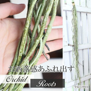 IV G IV   N[ re[W  R  100cm nCZX I[Lbh a CeA  gFX jj t c CeA