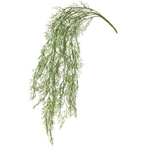  oC EH[^[EB[h EH[^[EB[hOXoC s