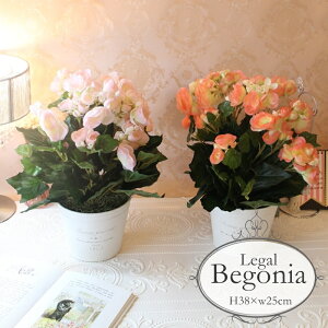 [KxRjA  v^[ AW|bg  tFCNO[  CeAt[ xRjA t  fBXvC X X { ZW v^[AWg DI