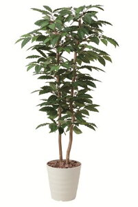 tFCNO[ ϗtA tFCN lHϗtA G}  CeA A  j    lC C  rO ItBX  Vv R L ϗt R[