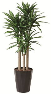 tFCNO[ ϗtA tFCN lHϗtA G}  CeA A  j    lC C  rO ItBX  Vv R L ϗt K