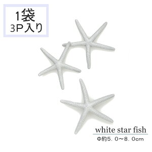 zCg X^[ tBbV ~j Vo[  CeA  @L Lk   썑 nC An nCA AWA L 