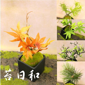 1000円 花 アレンジの通販 価格比較 価格 Com