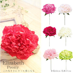 ňlɒ  sIj[ 傫 Ԍa17cm AWg p[c wbhhX nhCh  lC p[c  p[c sIj[ lHϗtA  t[wbh ANZT[