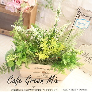 i` Vr[ CeA  tFCNO[  CeA   Y {݂ v^[ lC ԁ@e[u e[uR[fBl[g  Green tFCN t