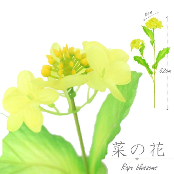 楽天市場 菜の花 造花 菜の花 リアル 綺麗 人工観葉植物 造花 春 造花 アーティフィシャルフラワー 菜の花 大量注文可能 造花 大量 春 装飾 Display 売り場 スーパー 春展開 展示会 装飾 Sns 写真映え 可愛い 黄色 幸せ 菜の花 春の装飾 カフェ 病院 学校