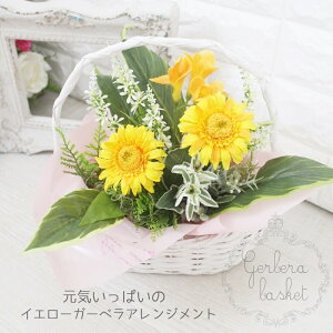 K[x  A[eBVt[ AWg Mtg 蕨 bsO  AWg 蕨 K[x  K[x@CeA Ԋ NC sv  gift 