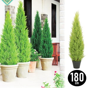 S[hNXg  180cm 1.8m  O lHϗtA ʓr IvV  tFCNO[ ʒ\ 