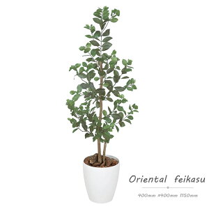 tFCNO[ ϗtA tFCN lHϗtA G}  CeA A  j    lC C  rO ItBX  Vv R L ϗt I