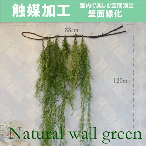 UDDG}H Ǌ| tFCNO[ lHϗtA EH[O[ DIY ǖʉH ǖʗΉ EH[fR  ^Xܑ  mx[V IV JtF lC O[ 