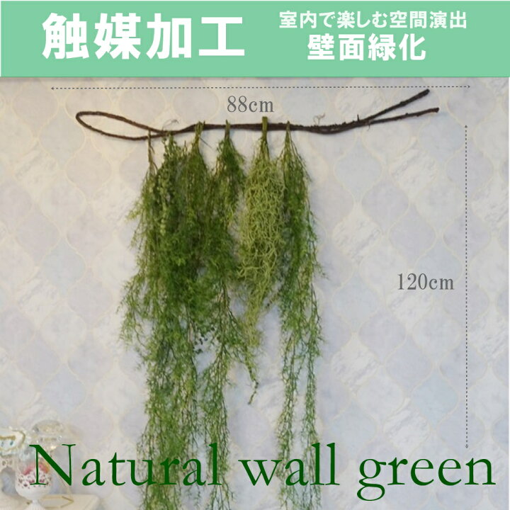 UDD触媒加工 壁掛け フェイクグリーン 人工観葉植物 ウォールグリーン DIY 壁面加工 壁面緑化 ウォールデコ 送料無料 大型店舗装飾 お部屋 リノベーション オシャレ カフェ風 人気 グリーン 本物そっくり 人気 造花 空気清浄 防カビ 抗菌 造花の専門店 きつつき グリーン壁掛 触媒加工 店内装飾