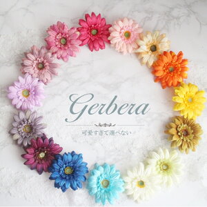 K[x  Vi Iׂ11F  | XX CeA G ~jK[x Vr[ 1{  nhCh p[c Xv[  K[x Ԍo7cm RT[W Ԋ 