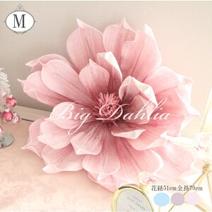 _A  p[c ^  rbN W{ t[  Ԏ  f ԍ Pi CeA |bv Jt   tFCNt[ G Be yԌa51cmzyz rb