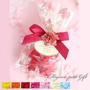 v`Mtg 蕨  bsO \[vt[ y^ Iׂ 7F  F sN  َqƈꏏ Ԃ j v[g  v`Mtg \[vt[  ސE 肪