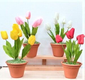  `[bv|bg 4_Zbg  X܃fCXvC ̃ANZT[ ʎ󒍉 `[bv AW |bg ͂Ȃ Y t ȒP fBXvC Ǝ 