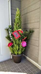 ԁ@@叼@S[hNXg@^Cv@1.5m@