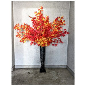 ԁ@~WX^h@170cm@^@@H@@fCXvC@݂@݂X^h@170cm@@^@Xܑ@IV@A[eBV@͂Ȃ@H@