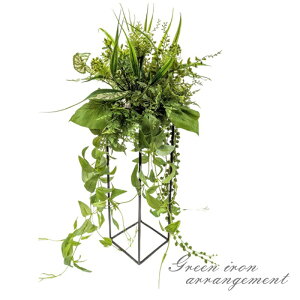 ԁ@e[uO[AW@ @ECXΉ@G}Hi@fBXvC@JtFfBXvC@X܁@Y@͂Ȃ@fG@蕨@T@JXj@G}@O[