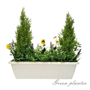 lHϗtA S[hNXgv^[ ~bNXO[v^[NEWv^[zOdl@65cmyz2肨IщB