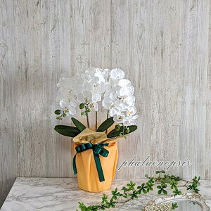 ԁ@Ӓ@@_ChG}H@̓Mtg@