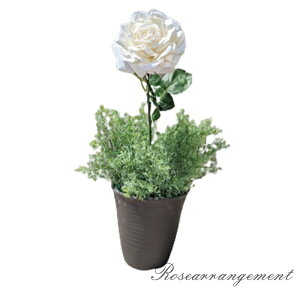 ԁ@ւKN@@o@傫o@@@zCg@KN@AW@v^[AW@A@o@X܃fBXvC@͂Ȃ@Y@A[eBVt[