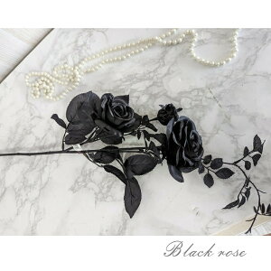 ԁ@o@ԂƂ΂́uïvAXJACe