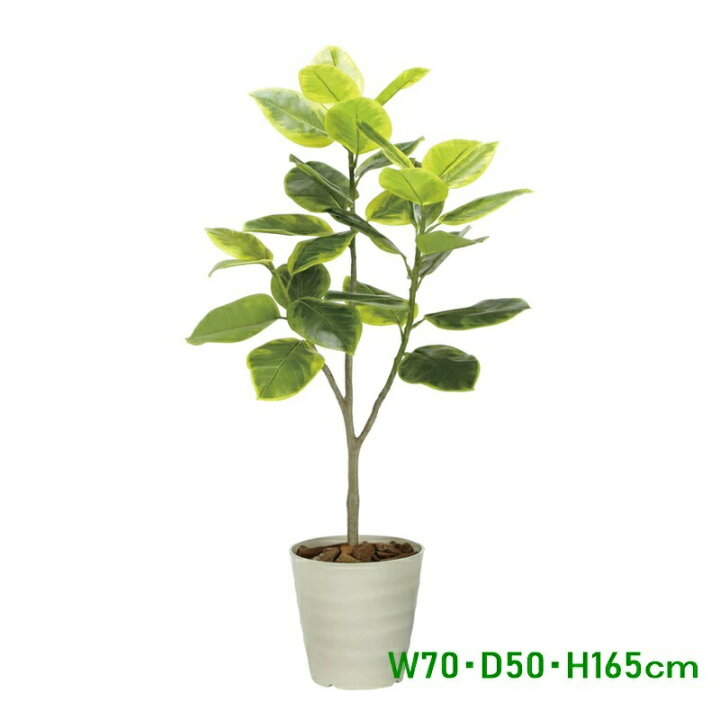 楽天市場】フェイクグリーン 観葉植物 フェイク 人工観葉植物 光触媒 